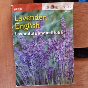 Lavender English Seeds
